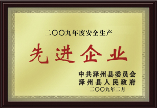 先進(jìn)企業(yè)